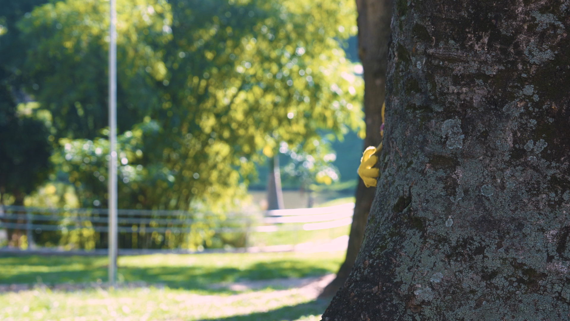 Backdrop for X-Slasher