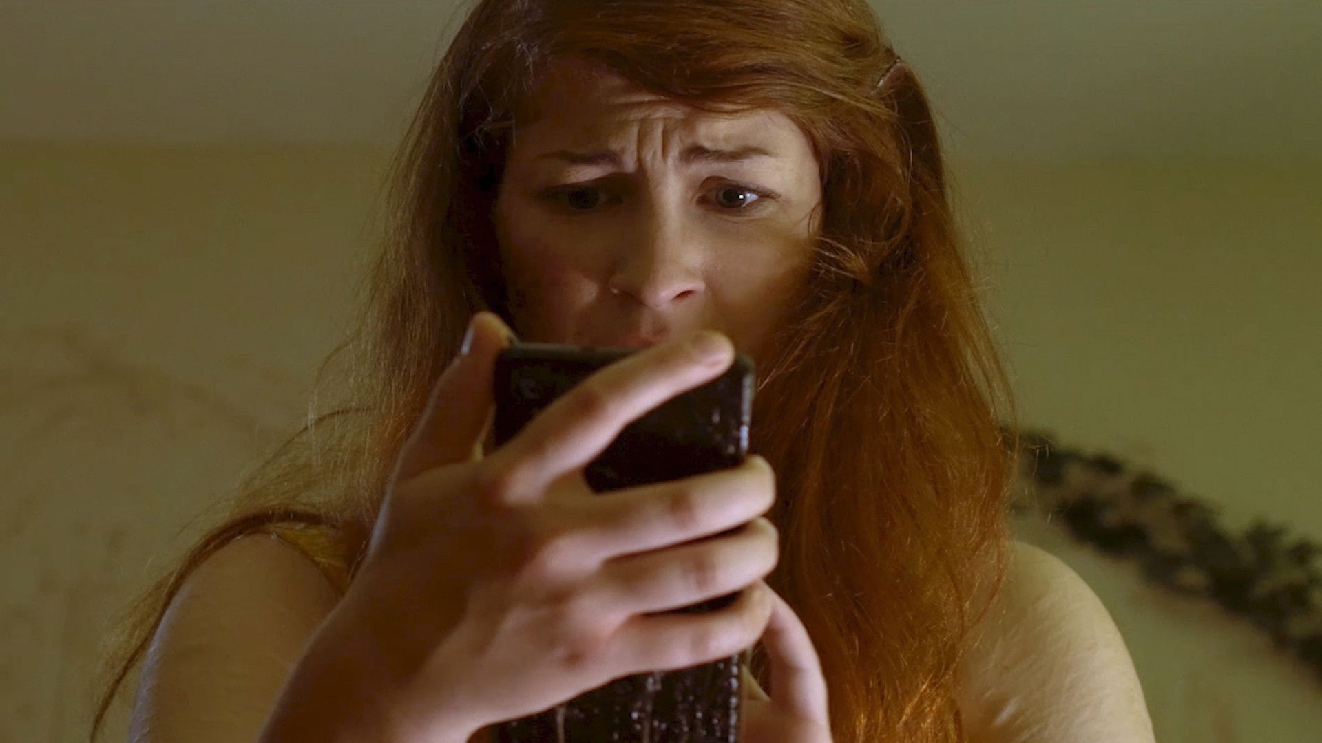 Backdrop for Nepenthes