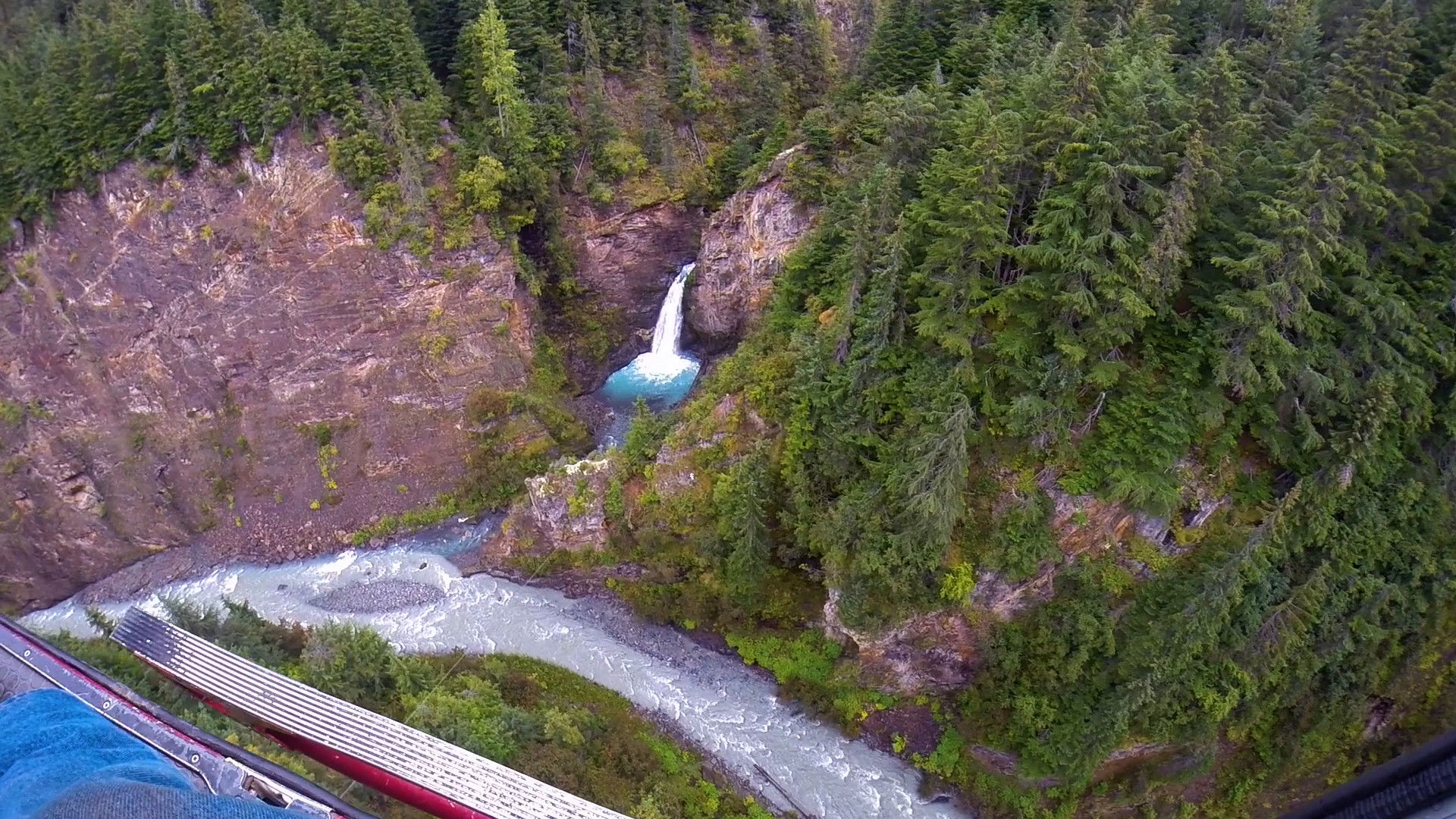 Backdrop for Gold Blooded