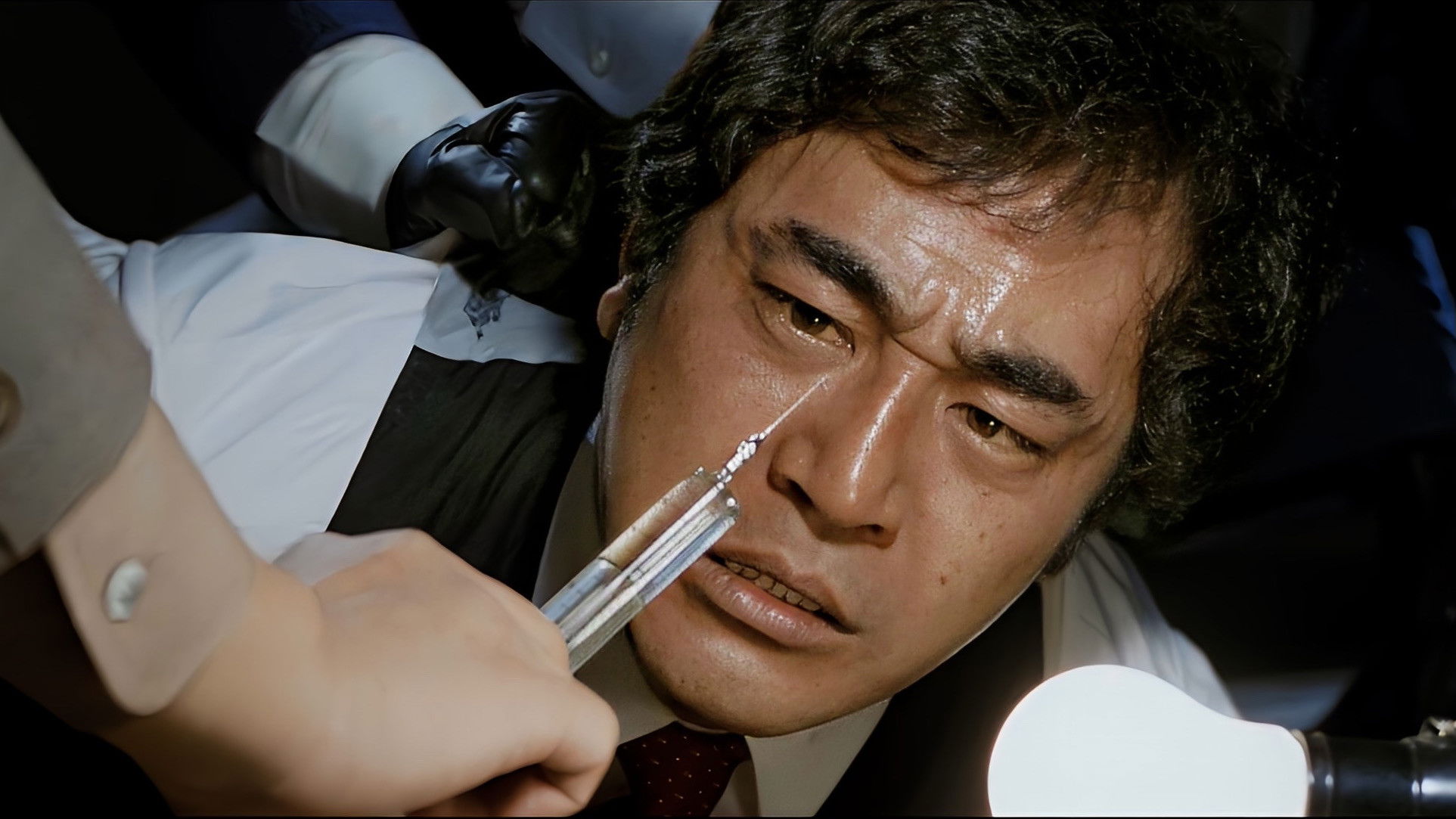 Backdrop for Fossilized Wilderness