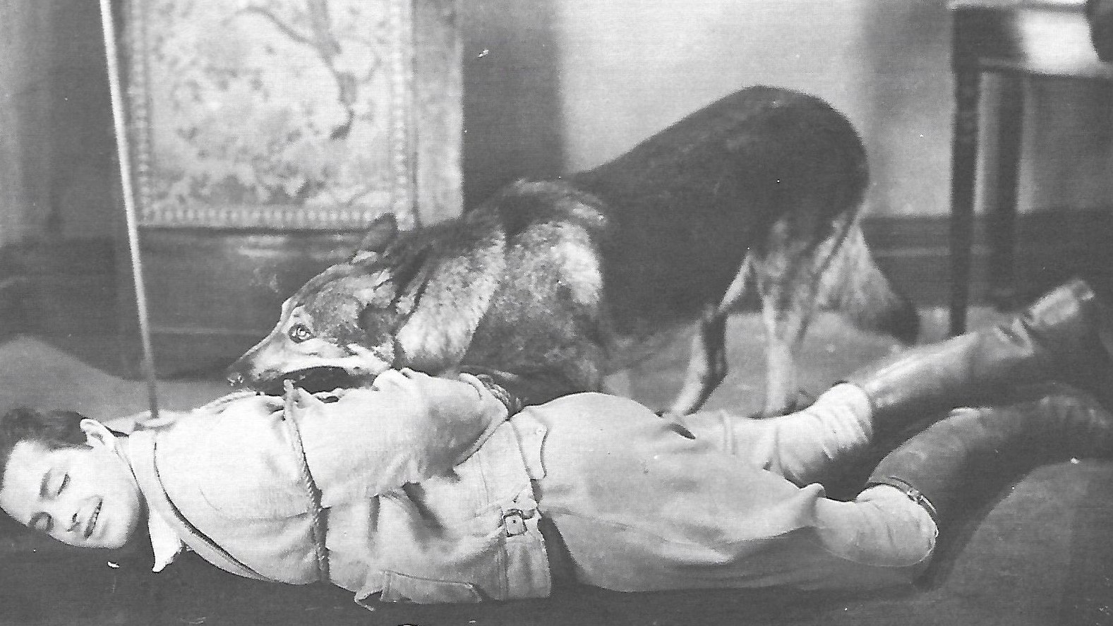 Backdrop for The Adventures of Rex and Rinty