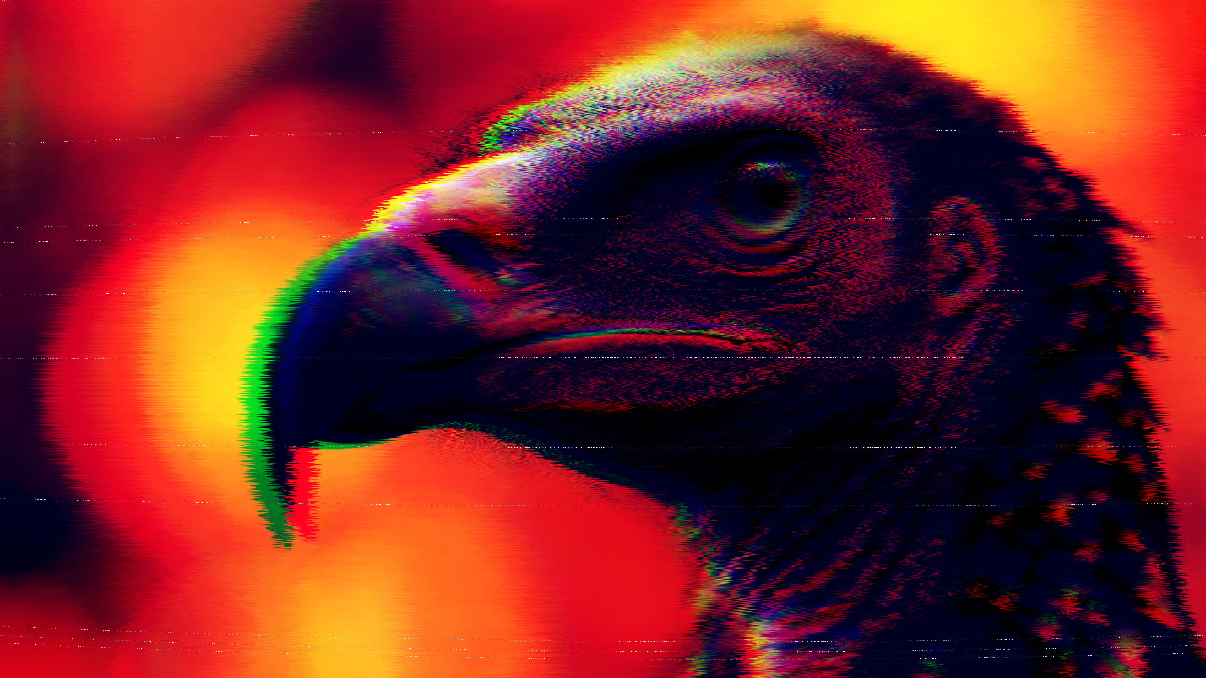 Backdrop for The Uncle Donald Spit Olympics