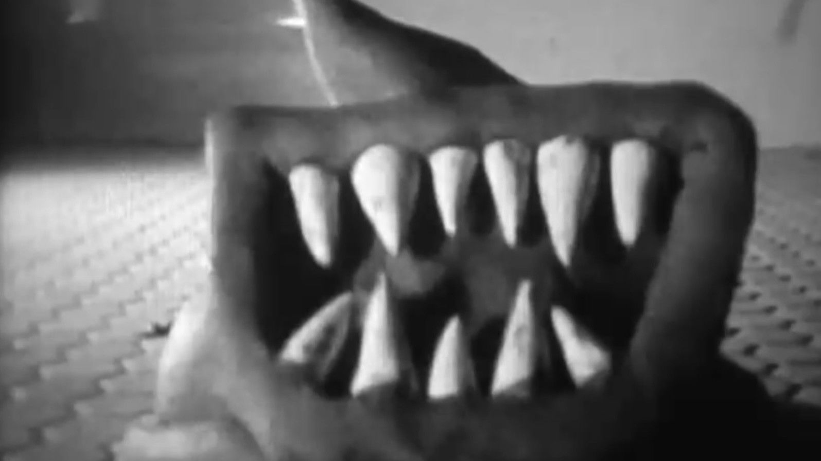 Backdrop for Pervula