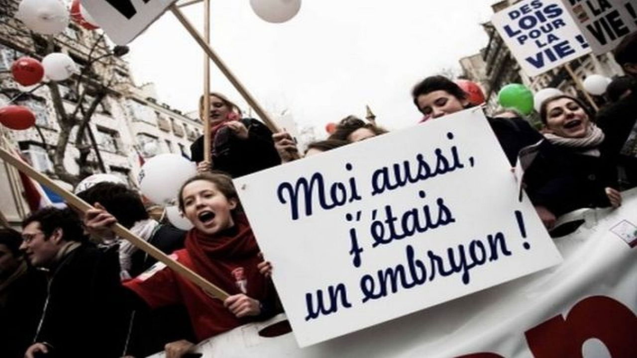 Backdrop for Avortement, les croisés contre-attaquent