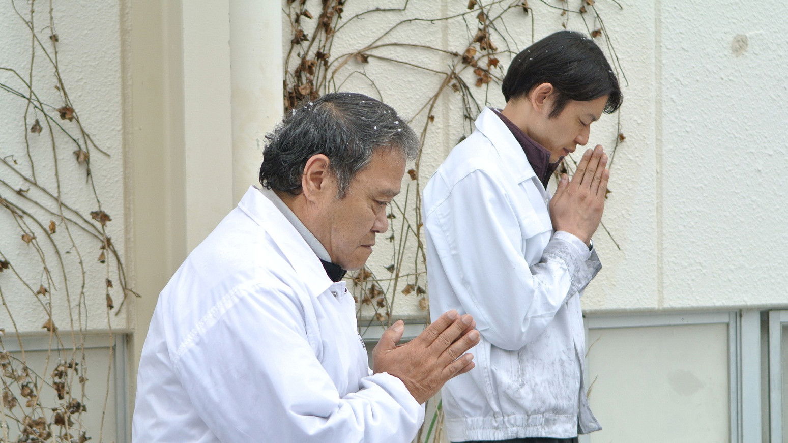 Backdrop for Reunion