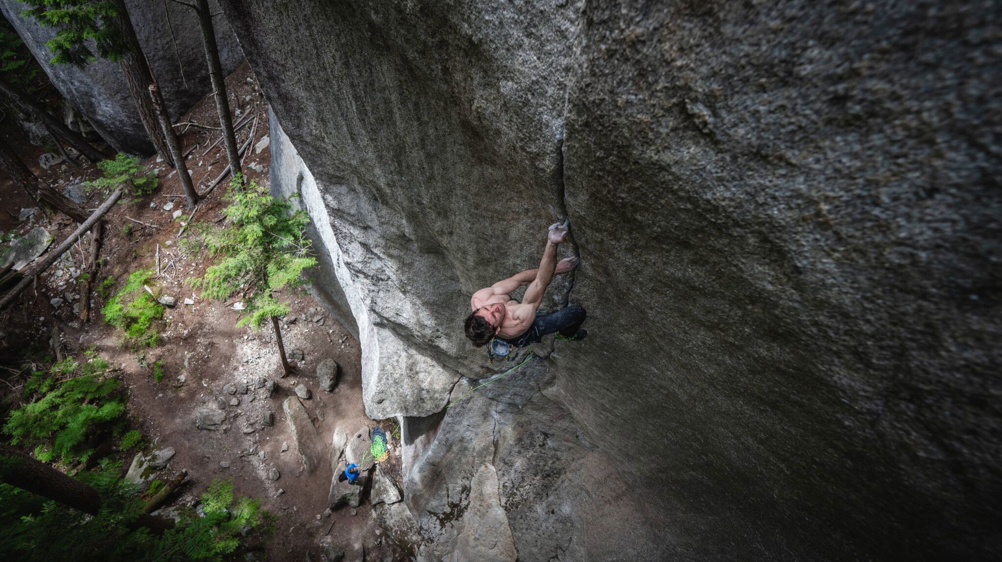 Backdrop for The Cobra and the Heart