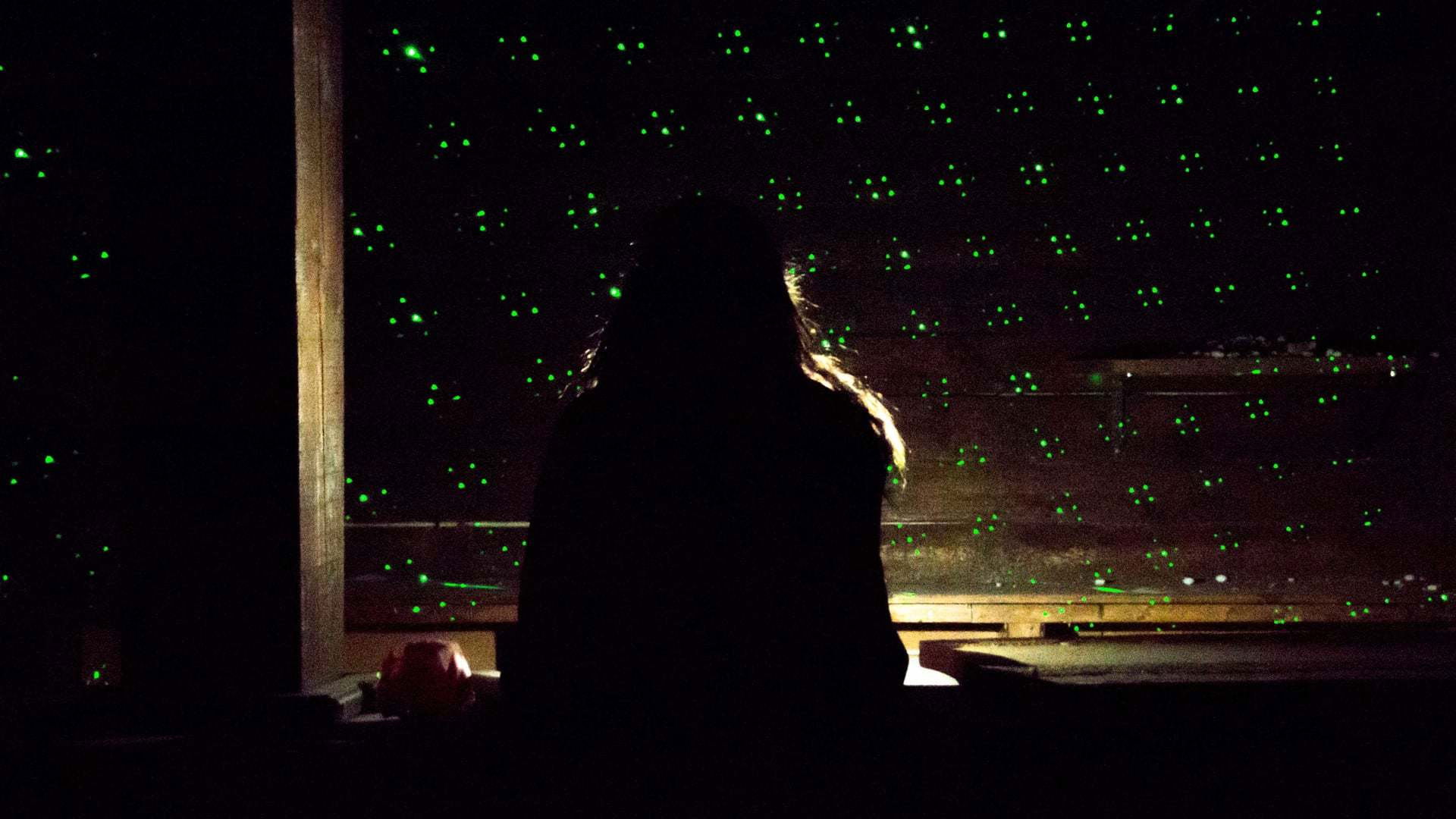 Backdrop for The Disco Shines