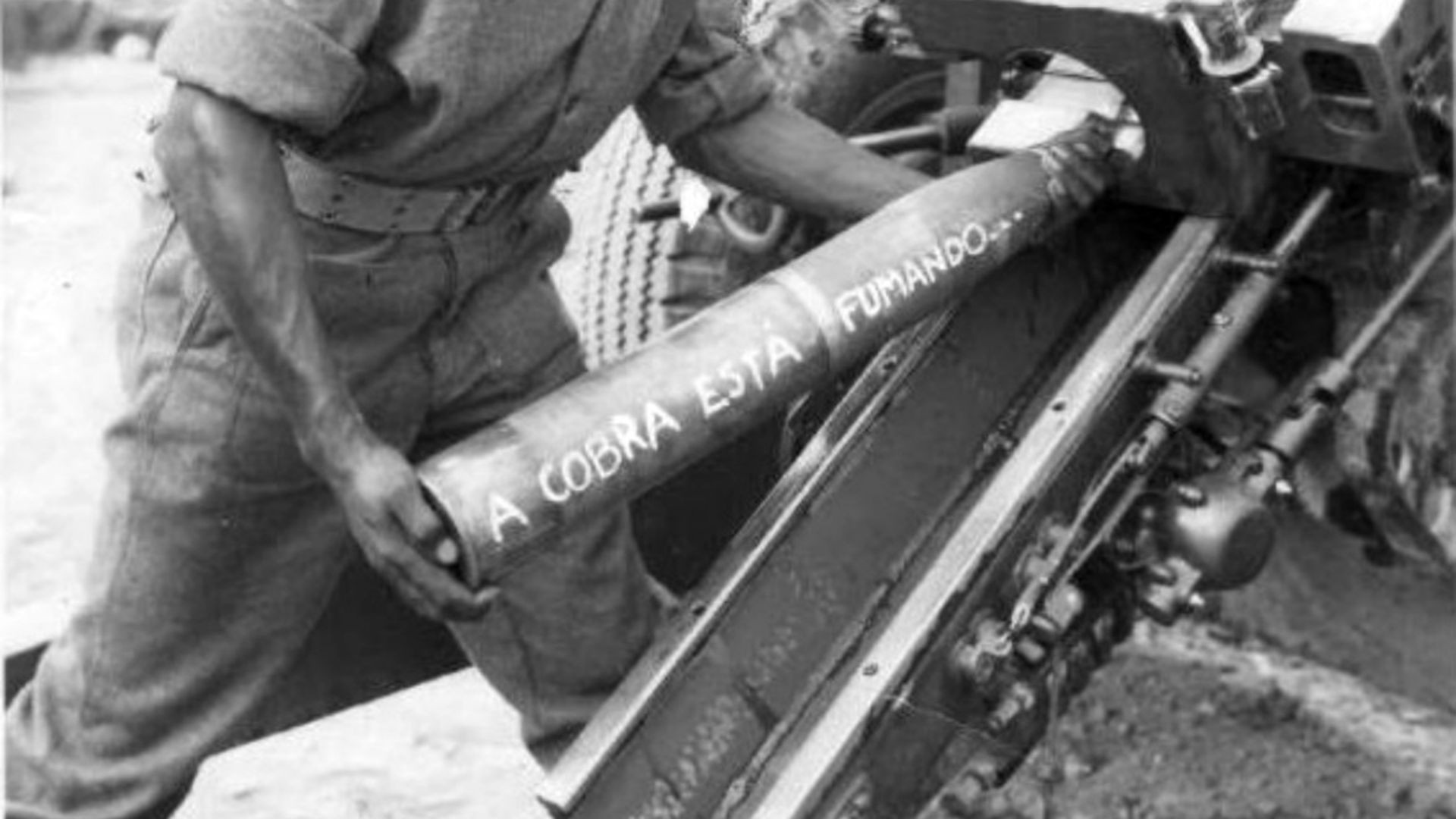 Backdrop for A Cobra Fumou