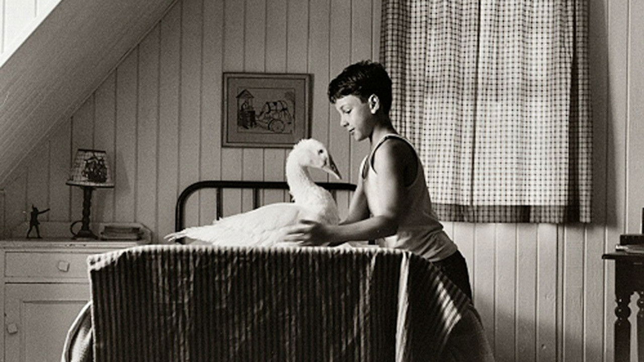 Backdrop for The Tale of Teeka