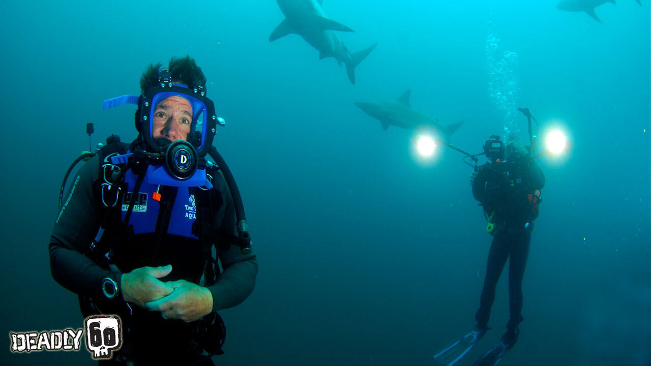 Backdrop for Deadly 60