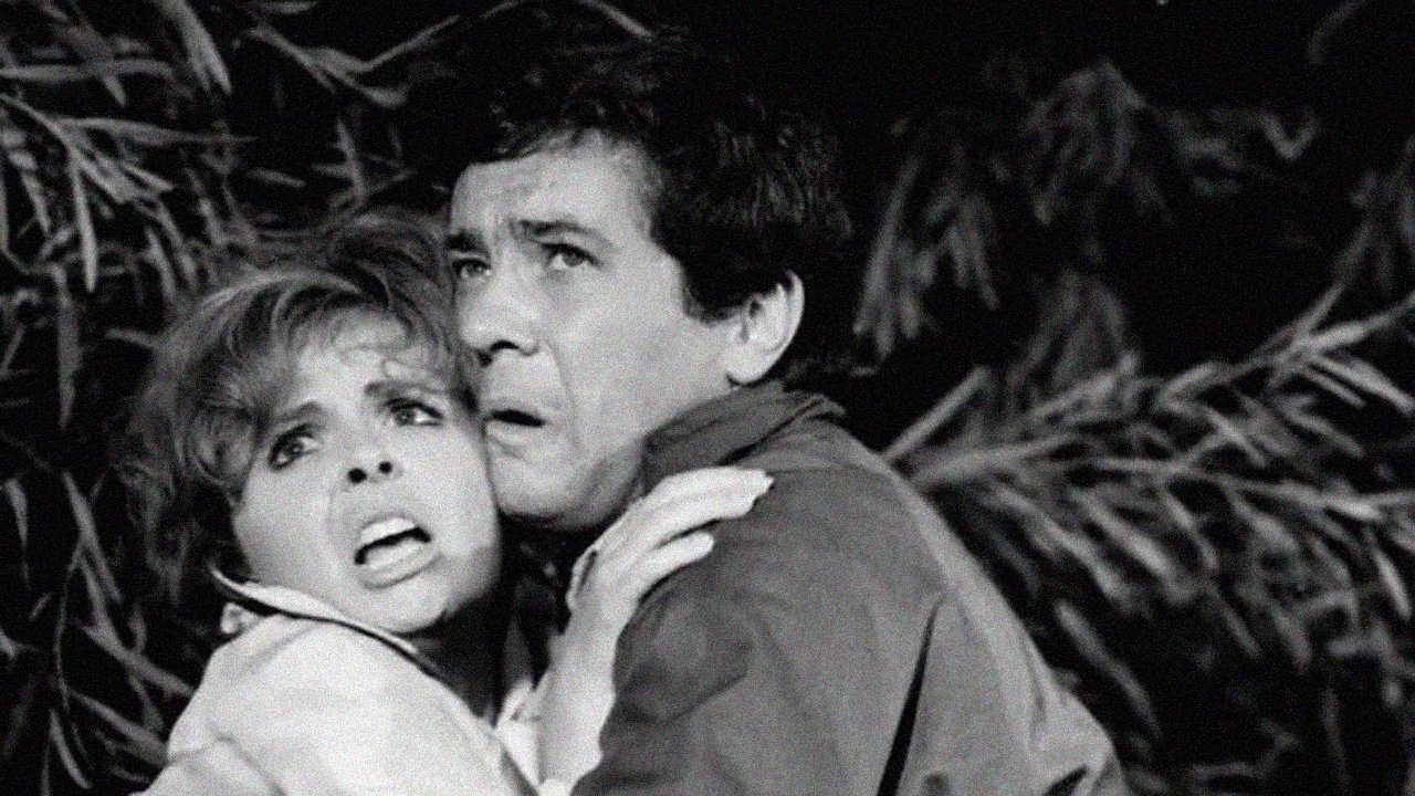 Backdrop for The Bubble