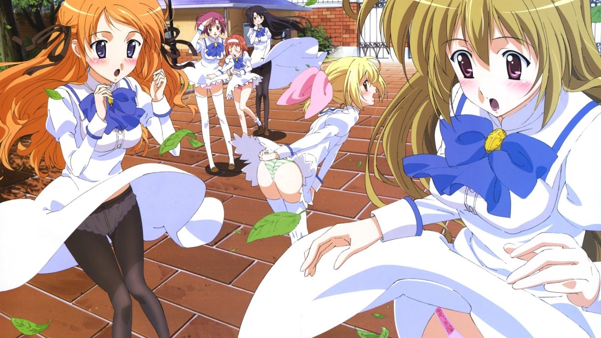 Backdrop for Otoboku: Maidens are Falling for Me