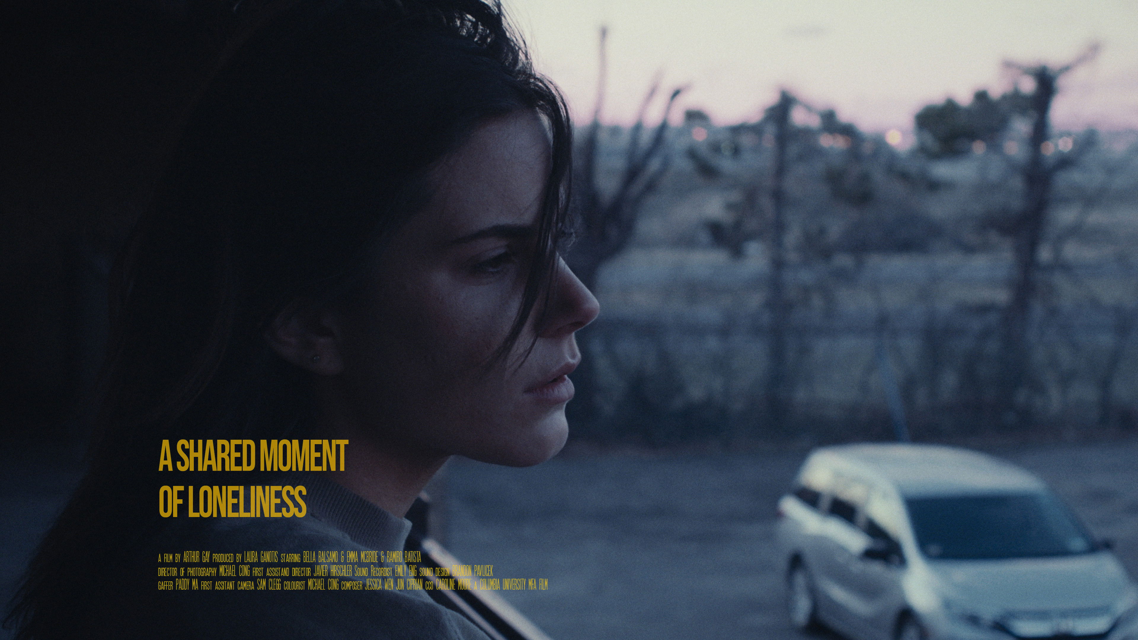 Backdrop for A Shared Moment of Loneliness