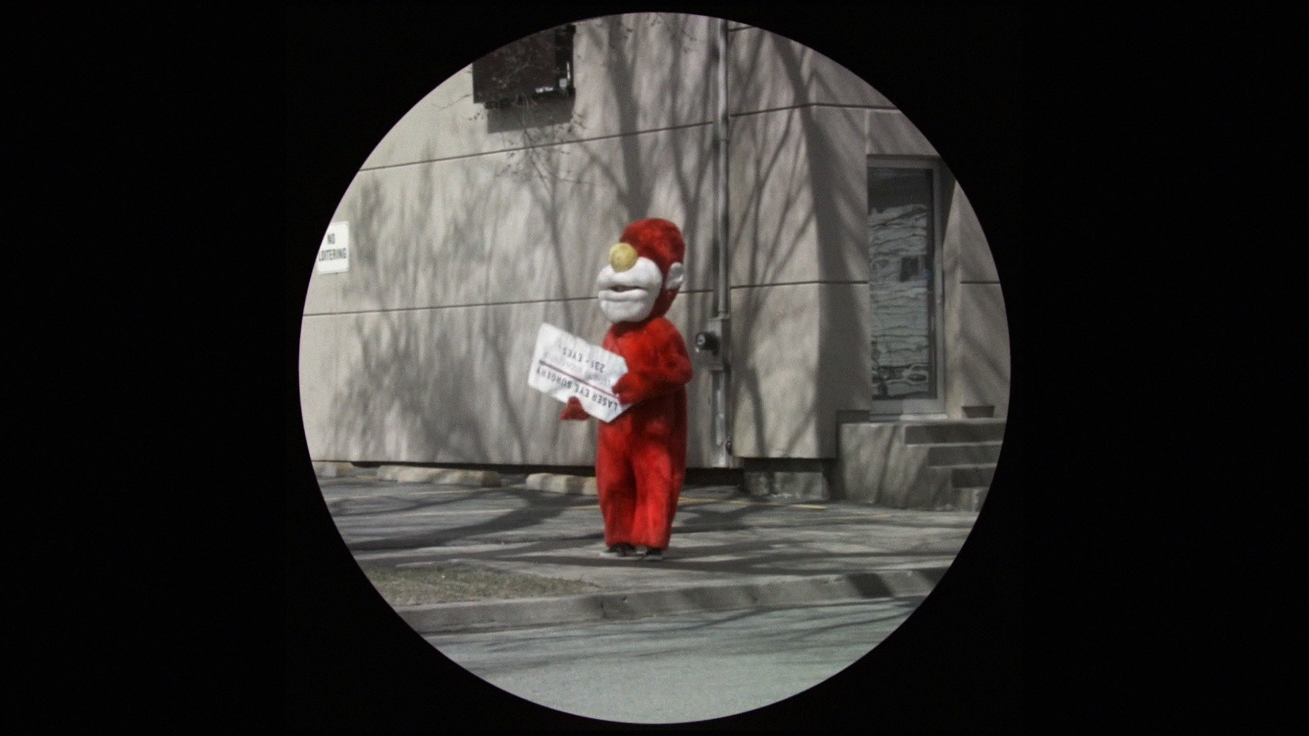 Backdrop for Wind Through a Tree