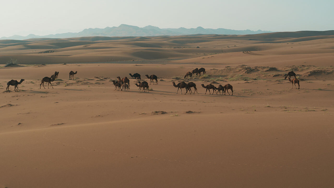 Backdrop for Iran From Above