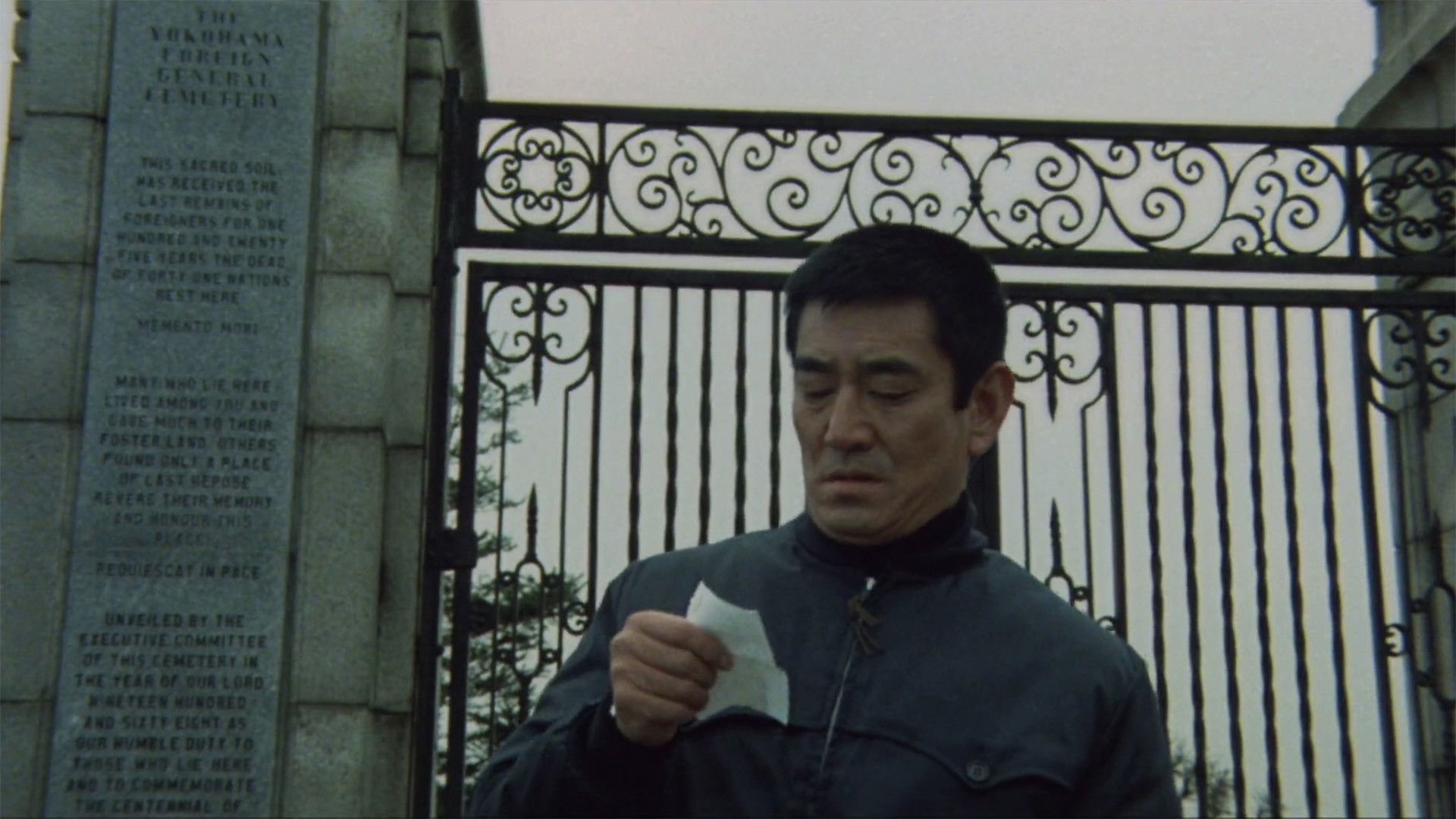 Backdrop for Winter's Flower