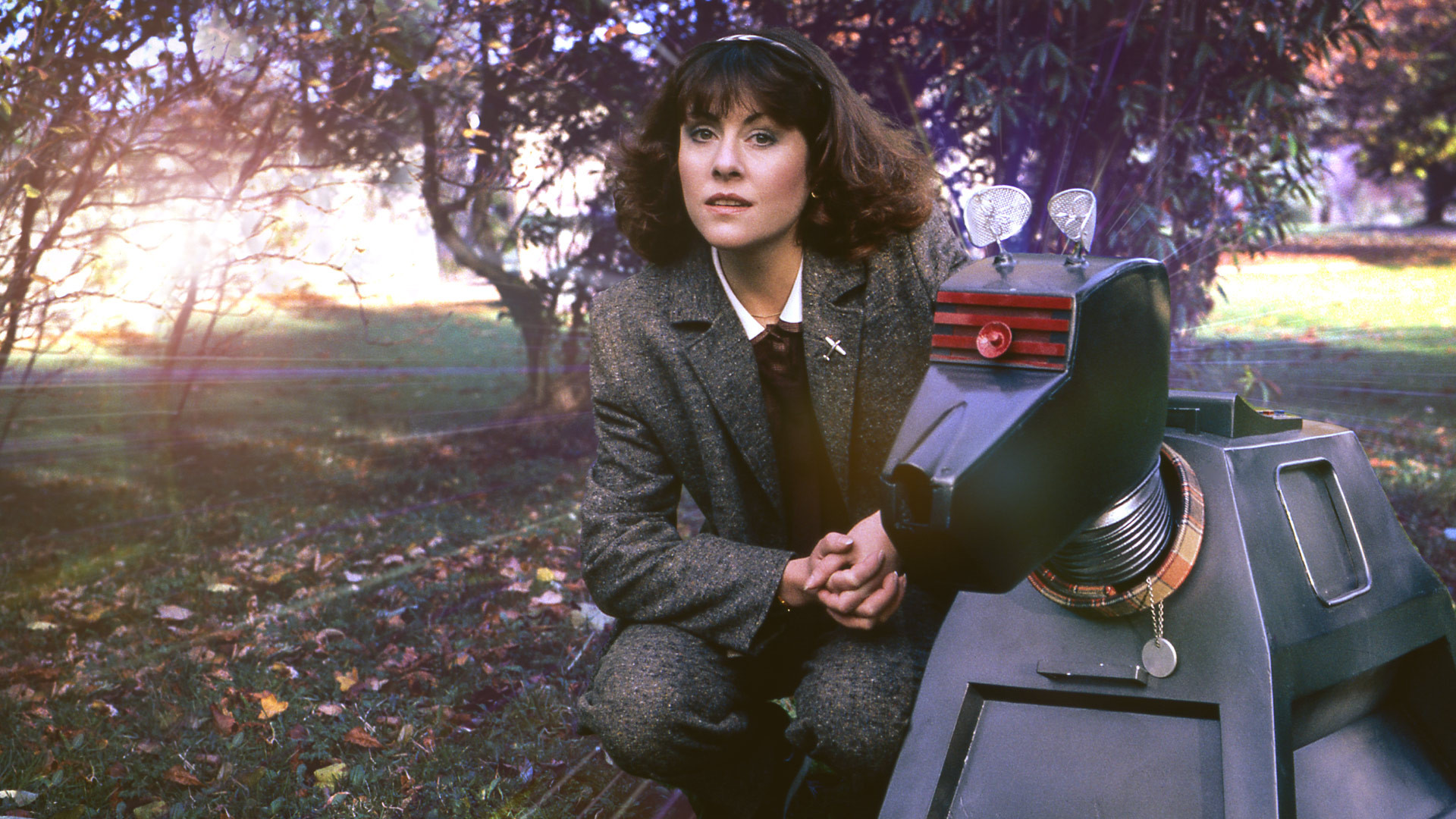 Backdrop for K-9 and Company: A Girl's Best Friend