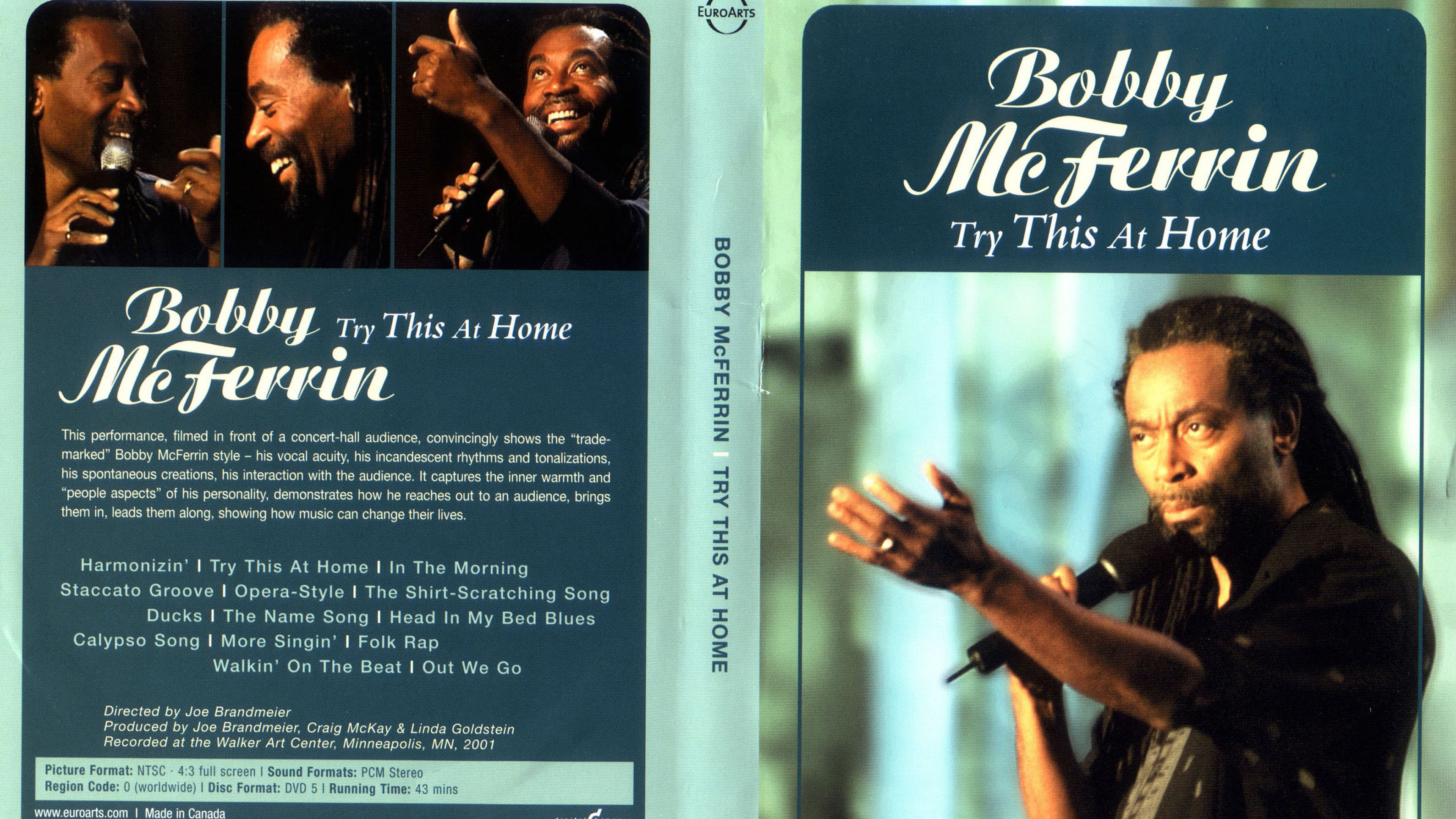 Backdrop for Bobby McFerrin: Try This at Home