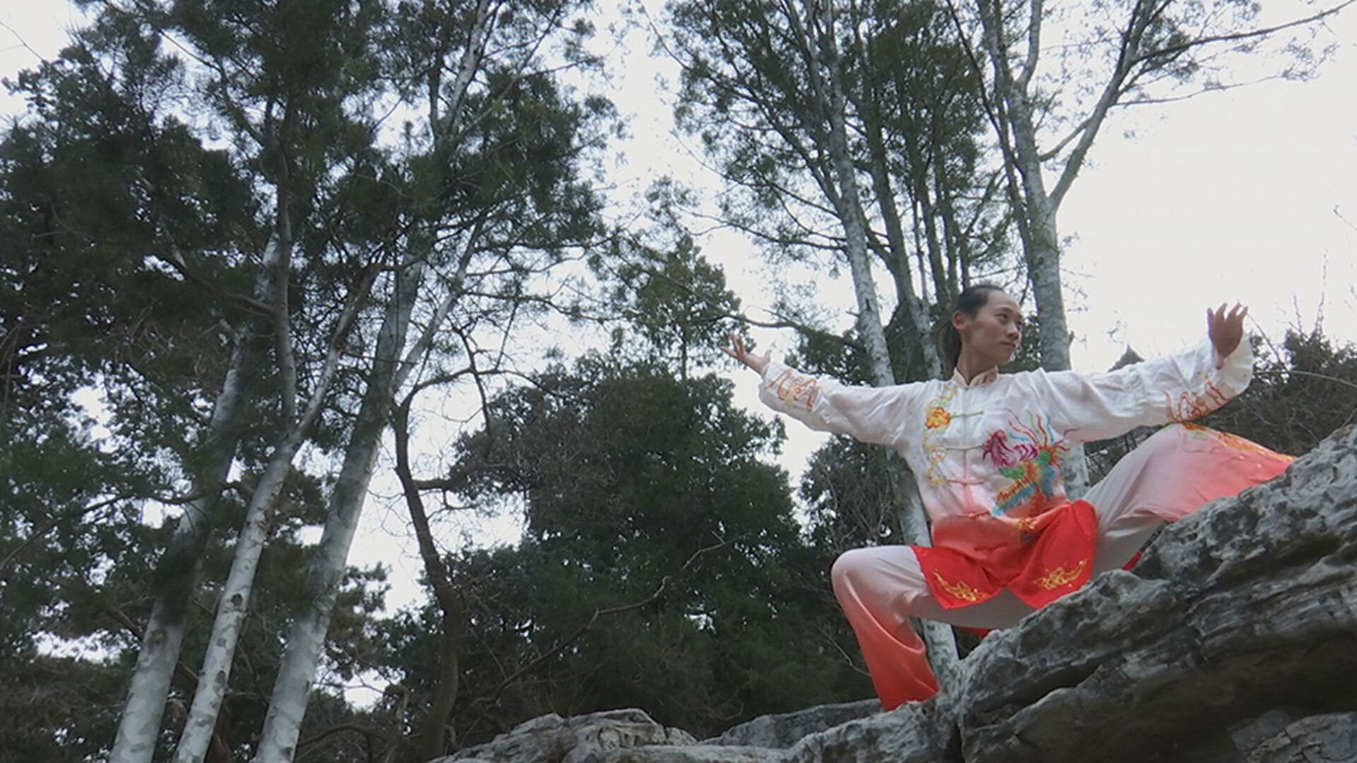 Backdrop for Kung fu Révolution(s)