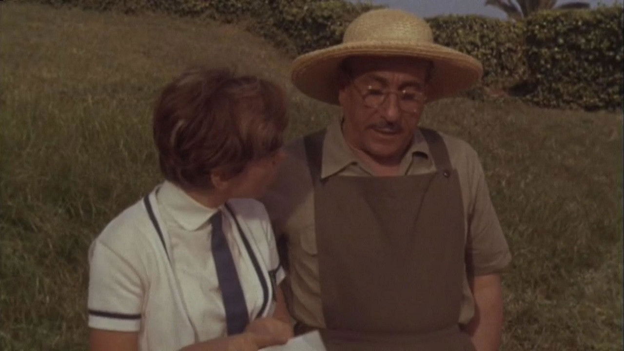 Backdrop for Rita the Mosquito