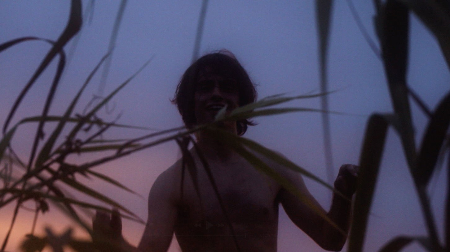 Backdrop for Zucchini