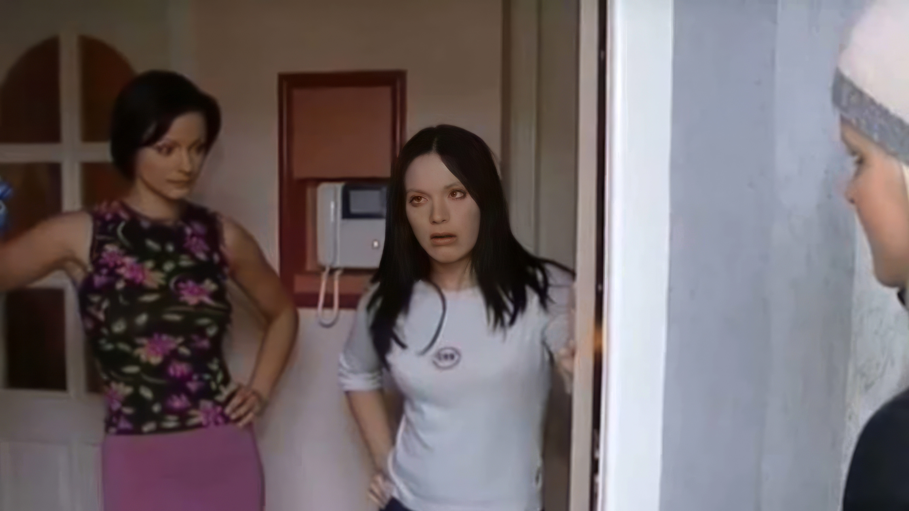 Backdrop for Pink Velvet