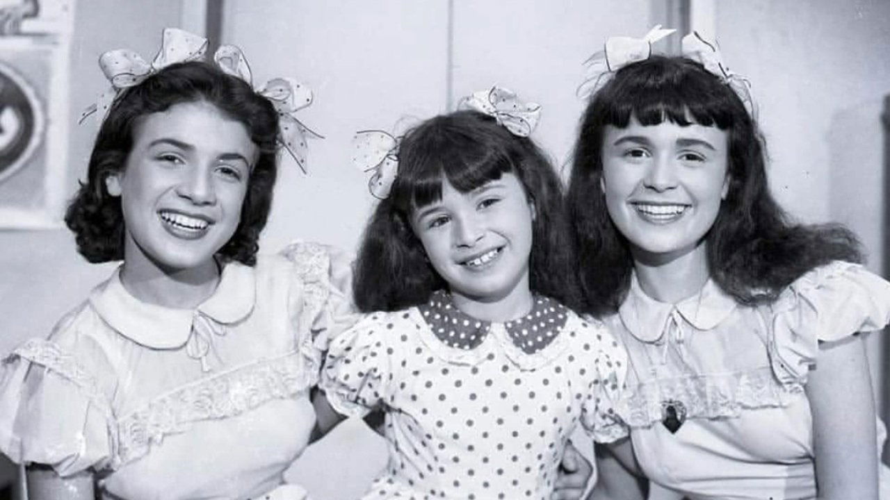 Backdrop for Birds of Paradise