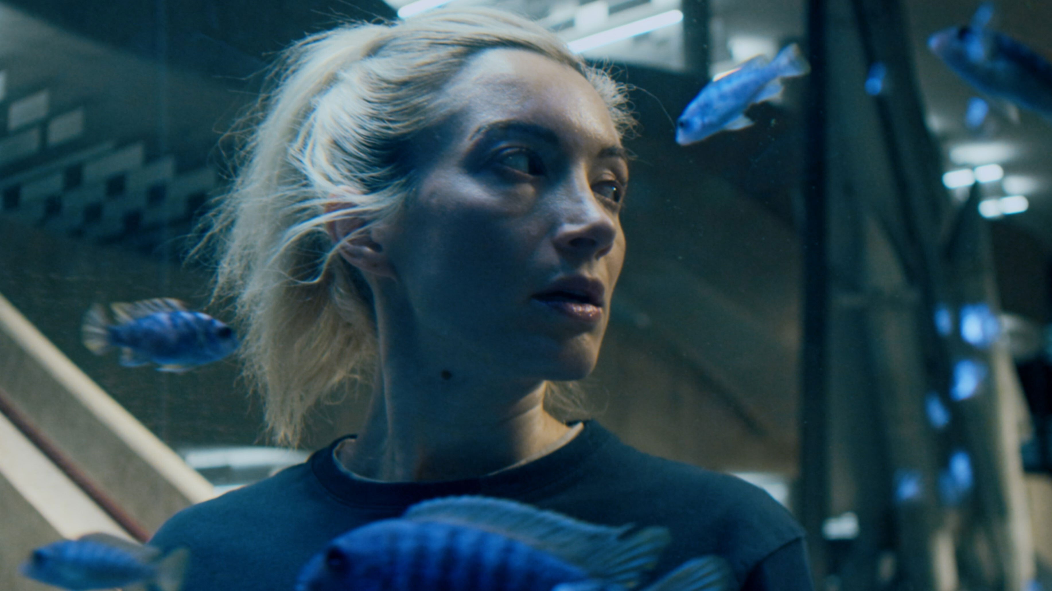 Backdrop for Kate and the Cosmonaut