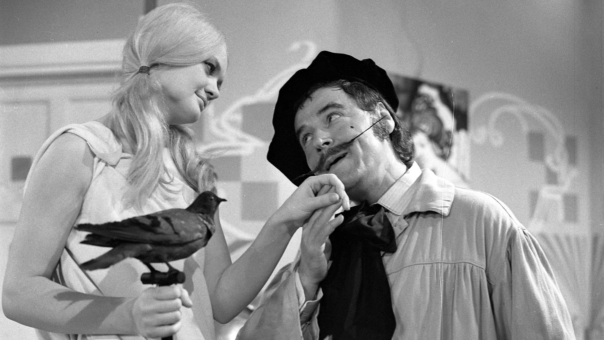 Backdrop for Taškařice v atelieru