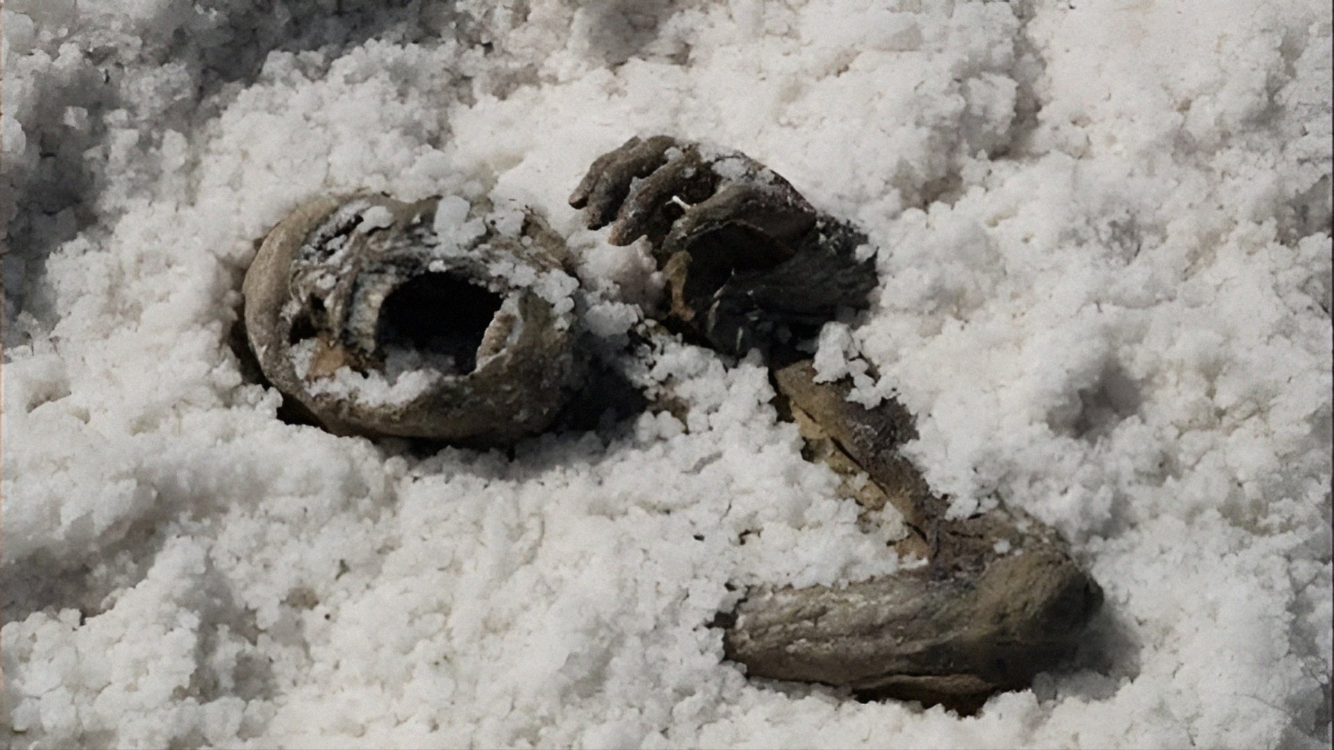 Backdrop for Under the Salt