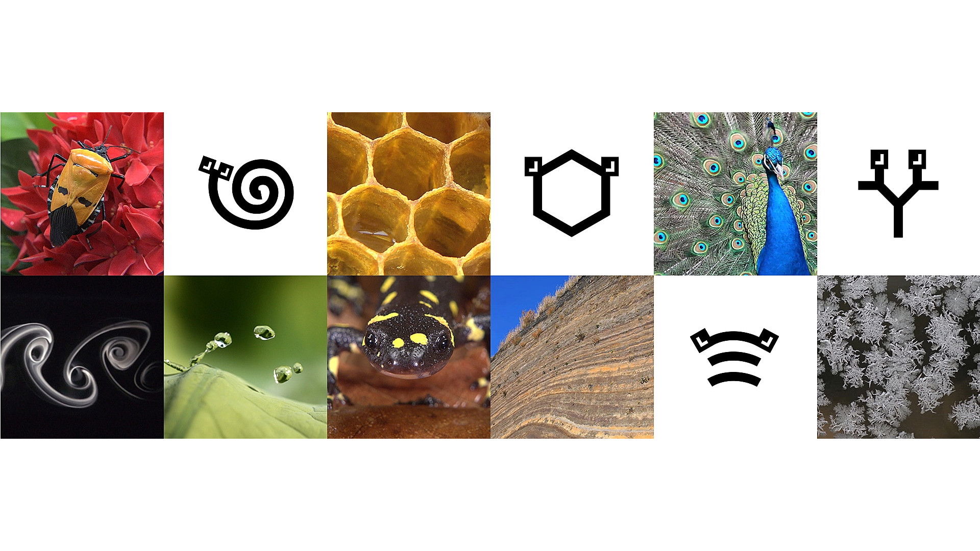 Backdrop for ミミクリーズ