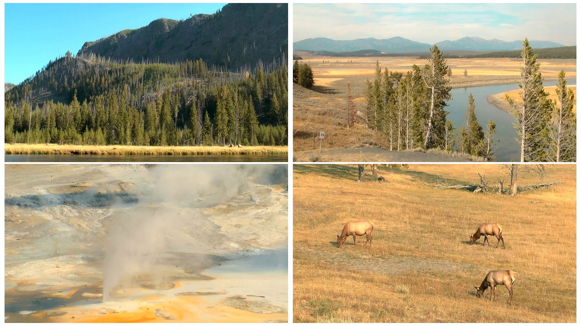 Backdrop for World Natural Heritage USA: Yellowstone National Park