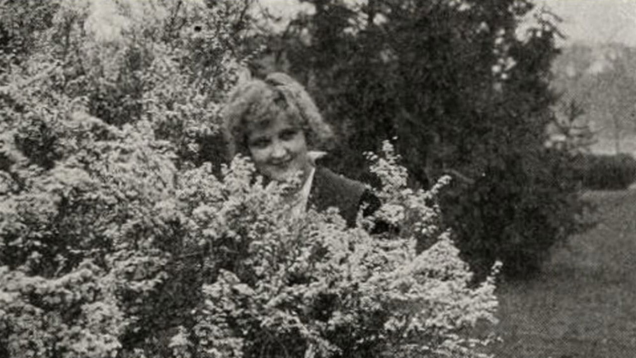 Backdrop for Gambier's Advocate