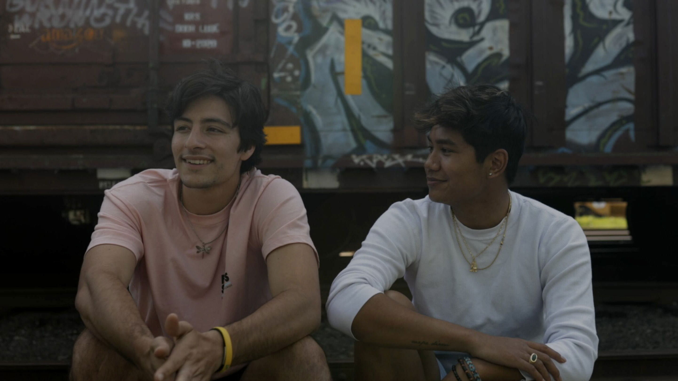 Backdrop for Dragonfly Boy