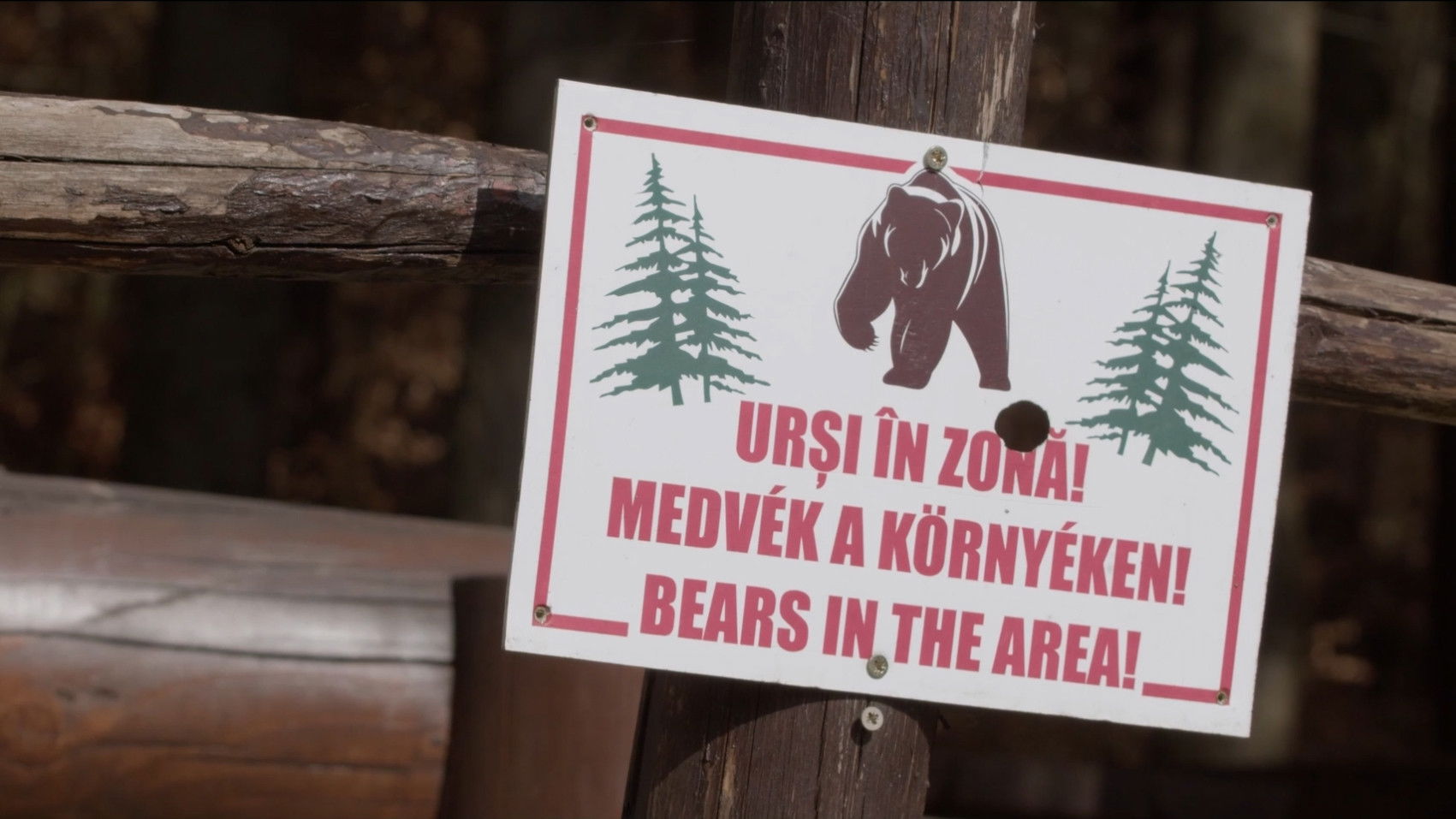 Backdrop for Szomszédok