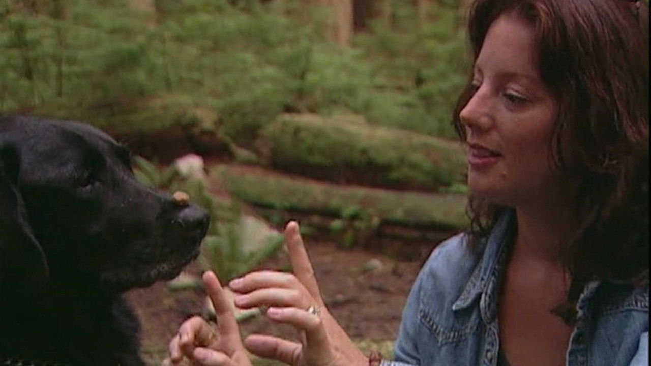 Backdrop for Sarah McLachlan: A Life of Music