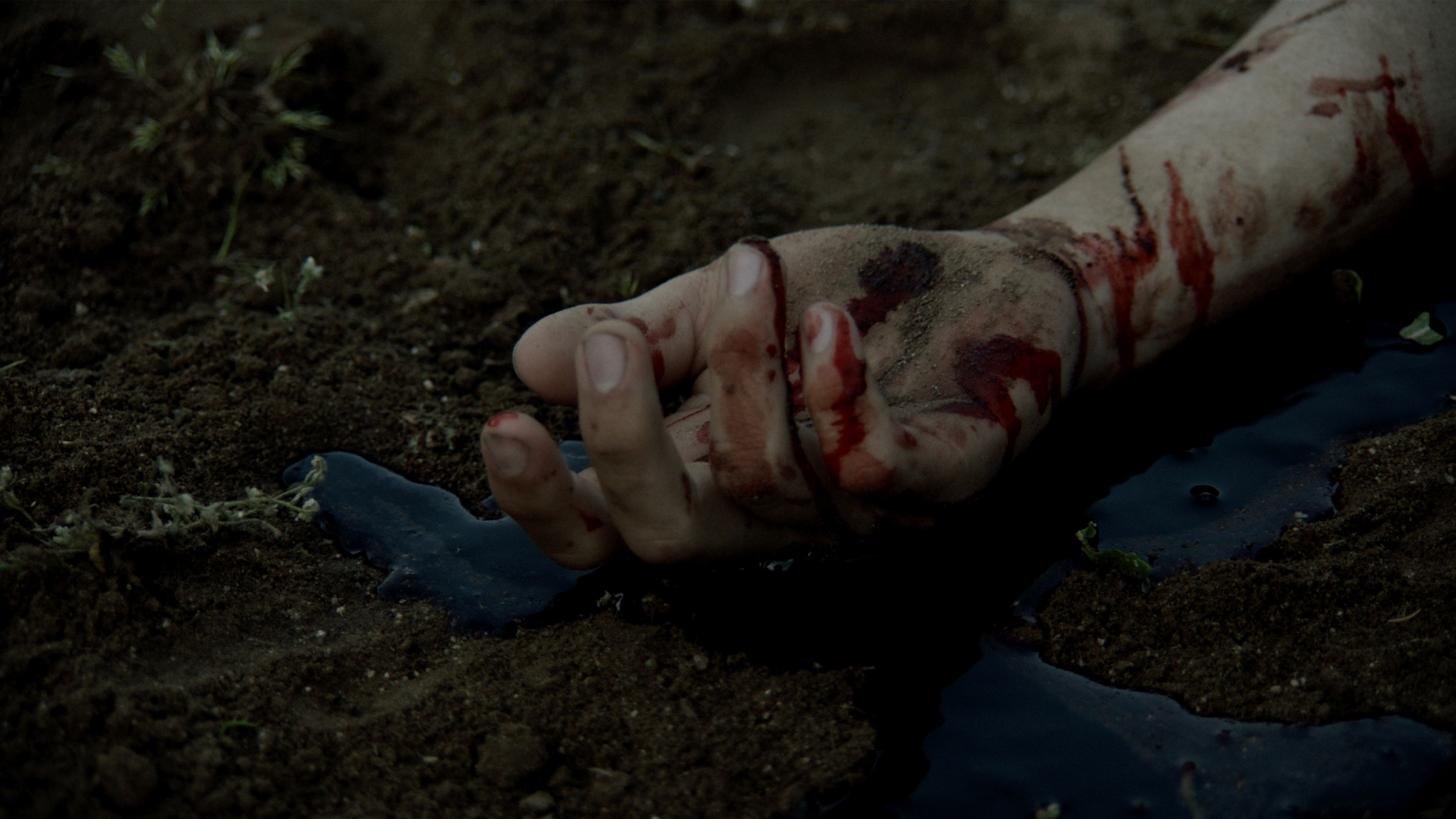 Backdrop for Descent