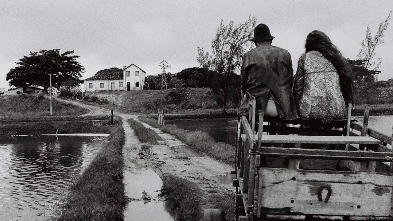 Backdrop for Southwest