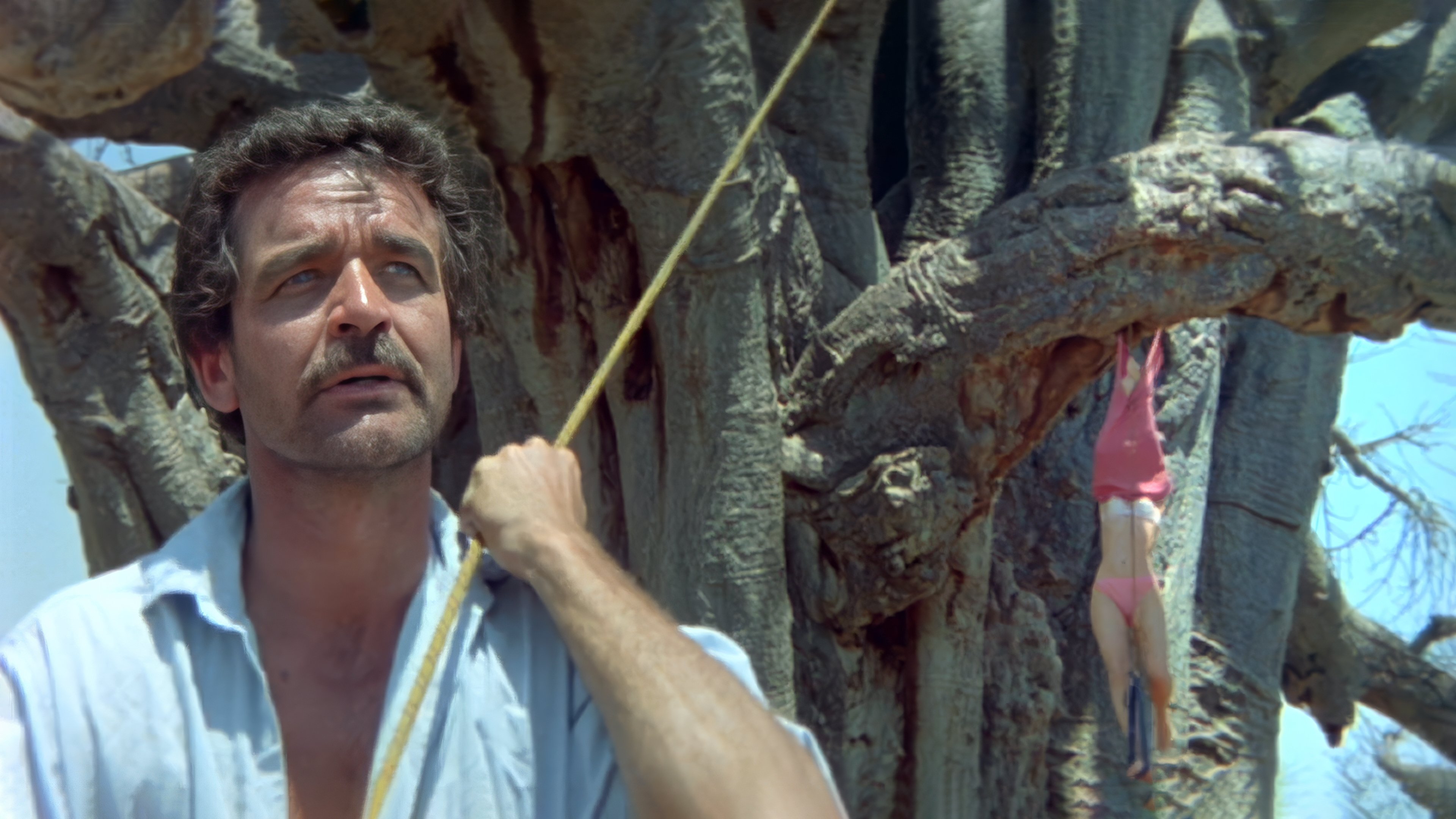 Backdrop for The Gods Must Be Crazy II