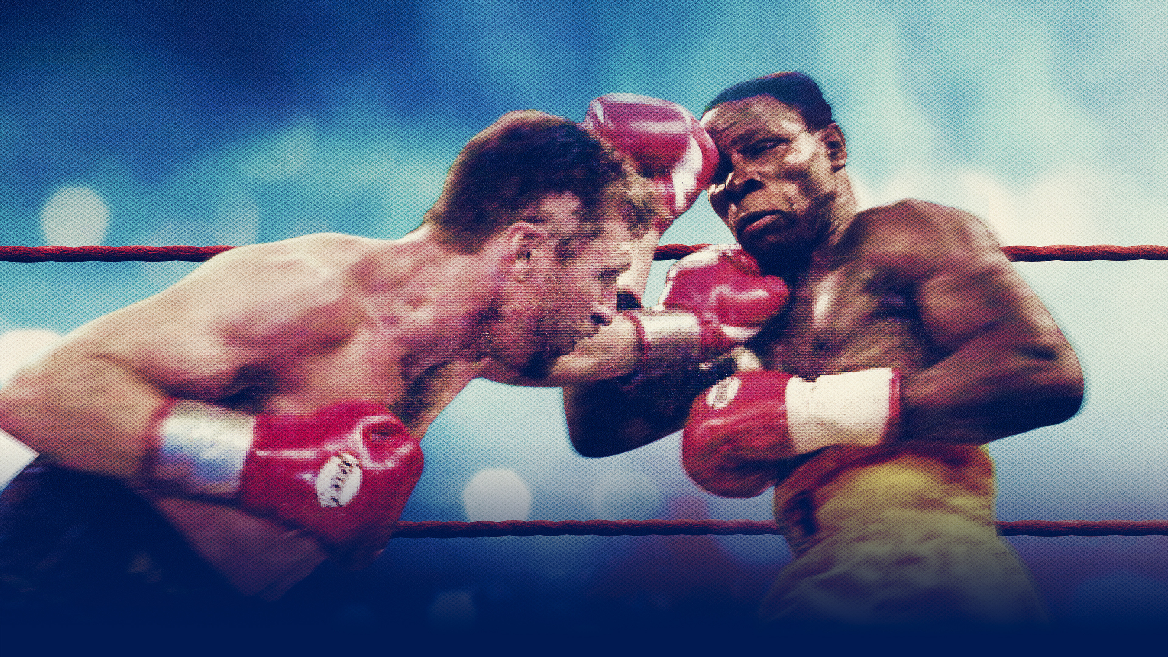 Backdrop for One Night in Millstreet