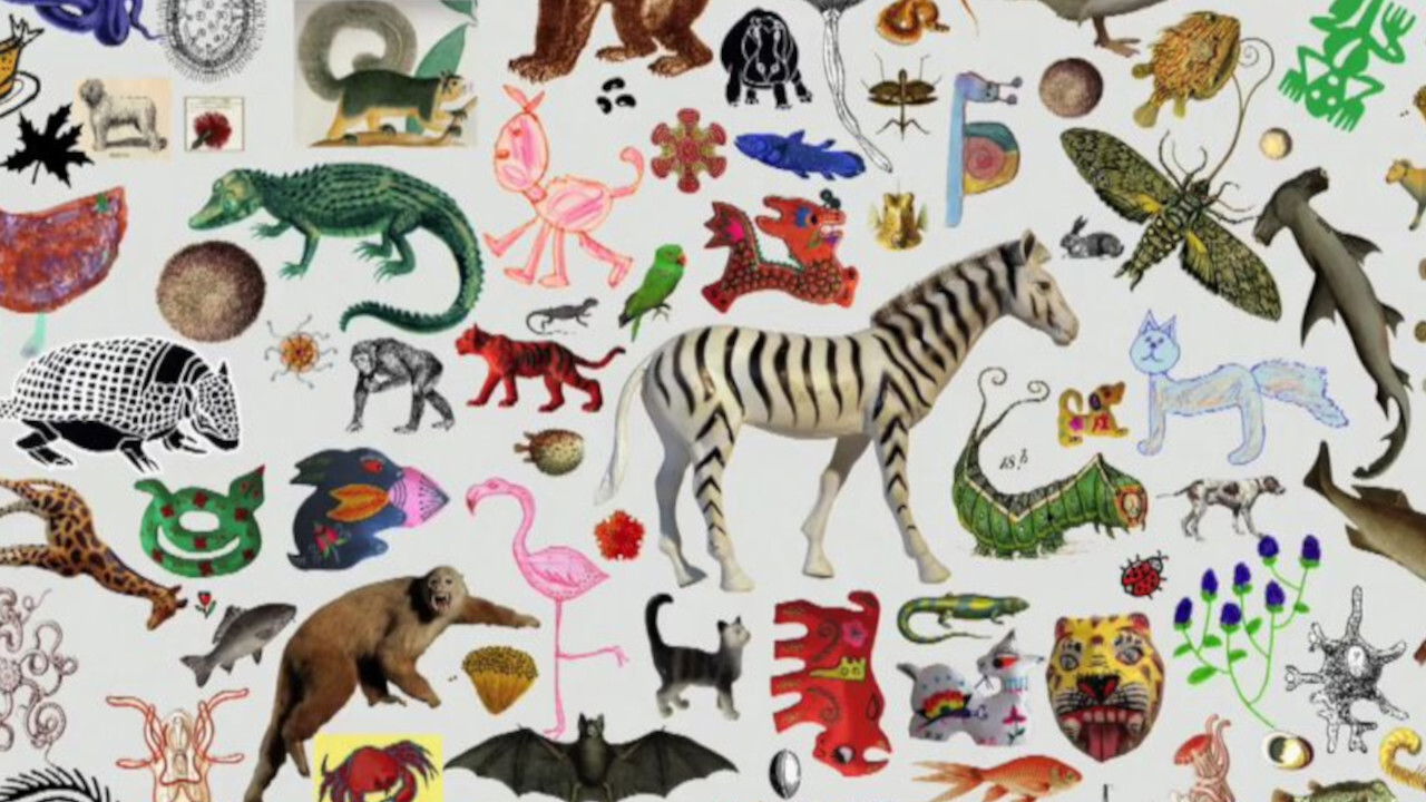 Backdrop for Espèces d'espèces