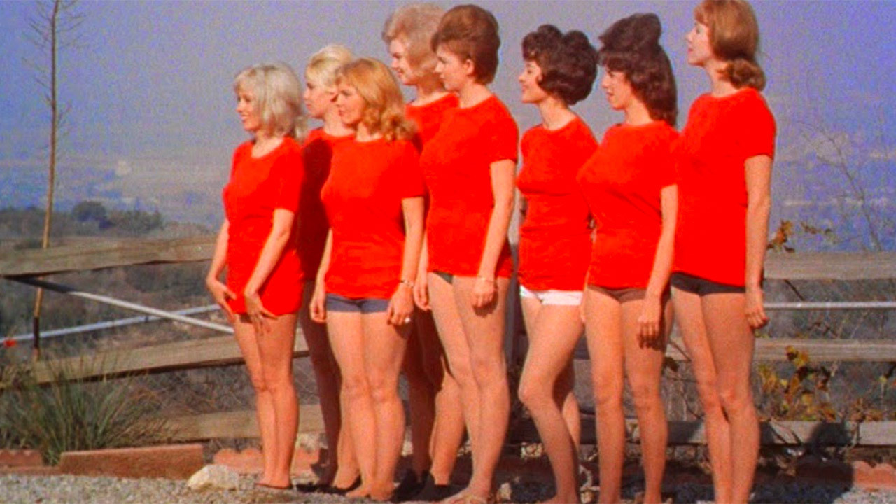 Backdrop for House on Bare Mountain