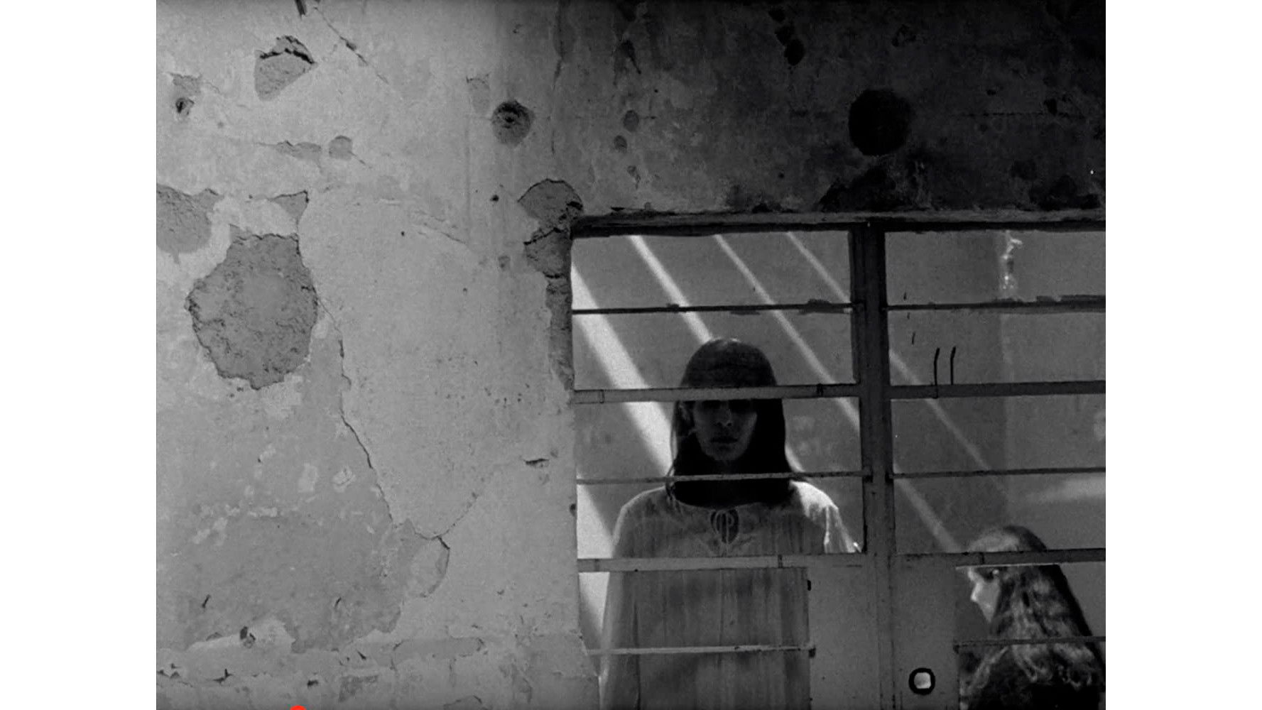 Backdrop for In the Darkness Someone Awaits for a Luminous Day