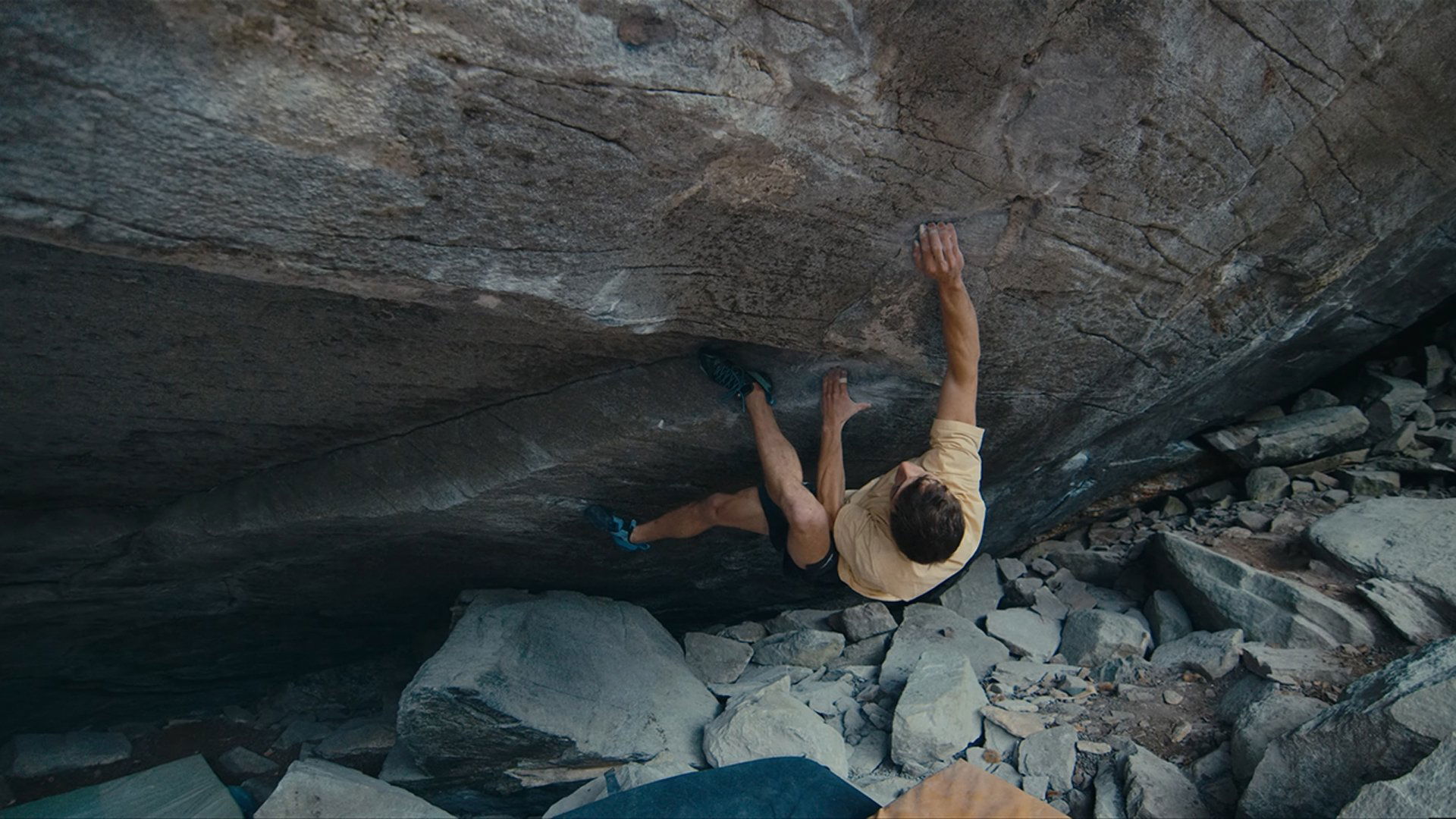 Backdrop for Alphane