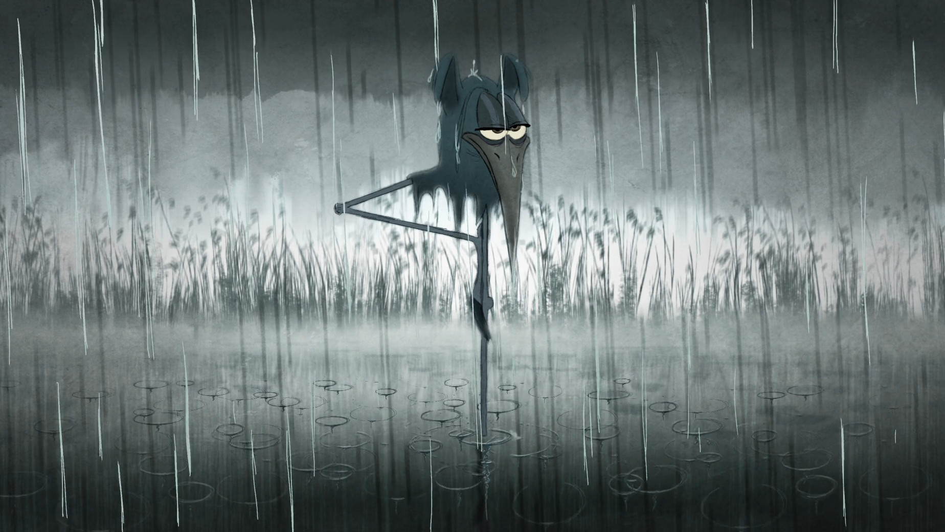 Backdrop for Bird Karma