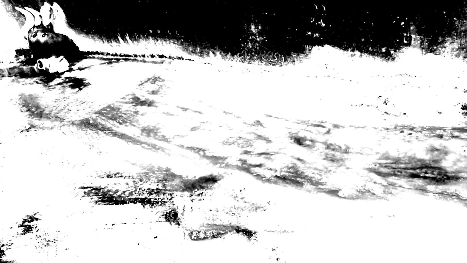 Backdrop for The Death Ox