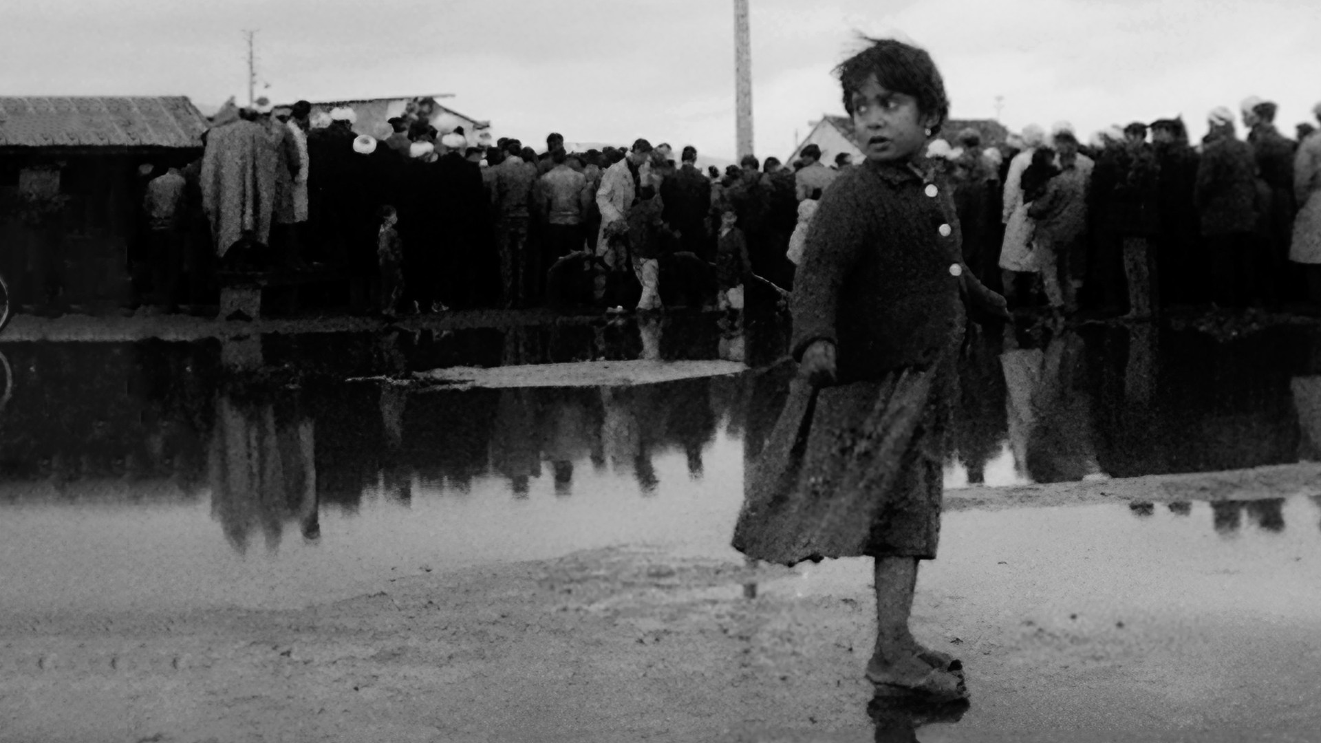 Backdrop for Algeria, Year Zero