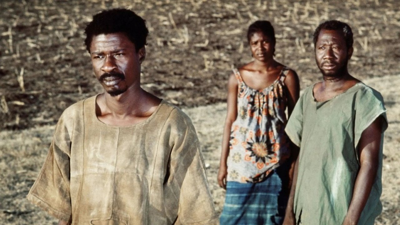 Backdrop for The Law