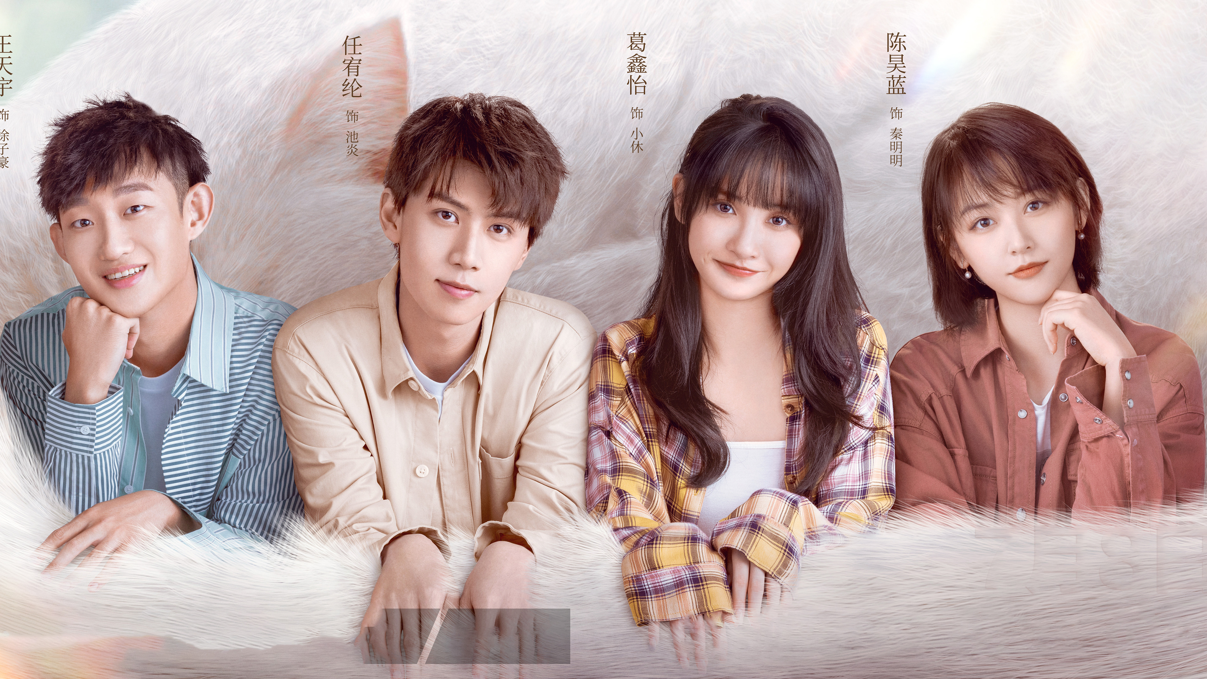 Backdrop for Make a Wish