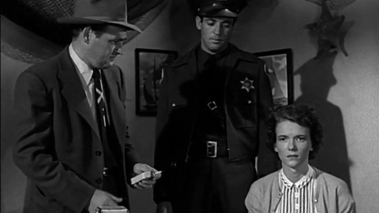 Backdrop for The Hired Man